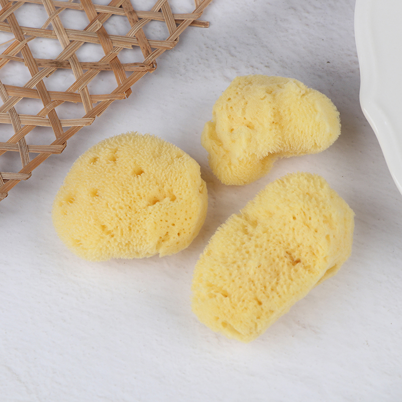 พื้นผิวพิเศษการผลิตเครื่องมือท - Eco Sponge บทวิจารณ์และราคา