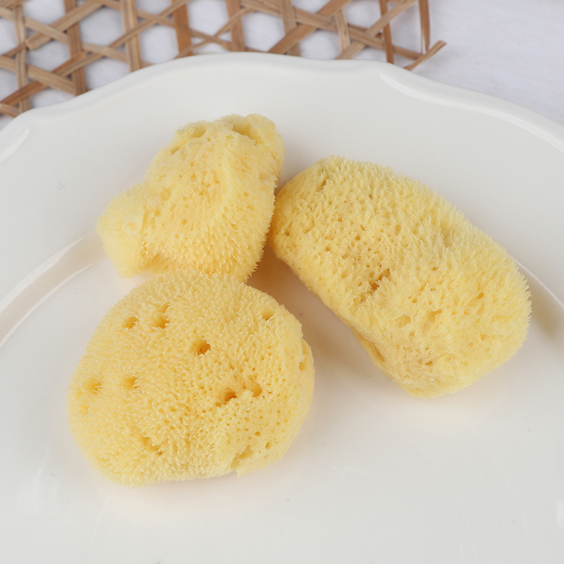 พื้นผิวพิเศษการผลิตเครื่องมือท - Eco Sponge บทวิจารณ์และราคา