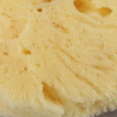 พื้นผิวพิเศษการผลิตเครื่องมือท - Eco Sponge บทวิจารณ์และราคา