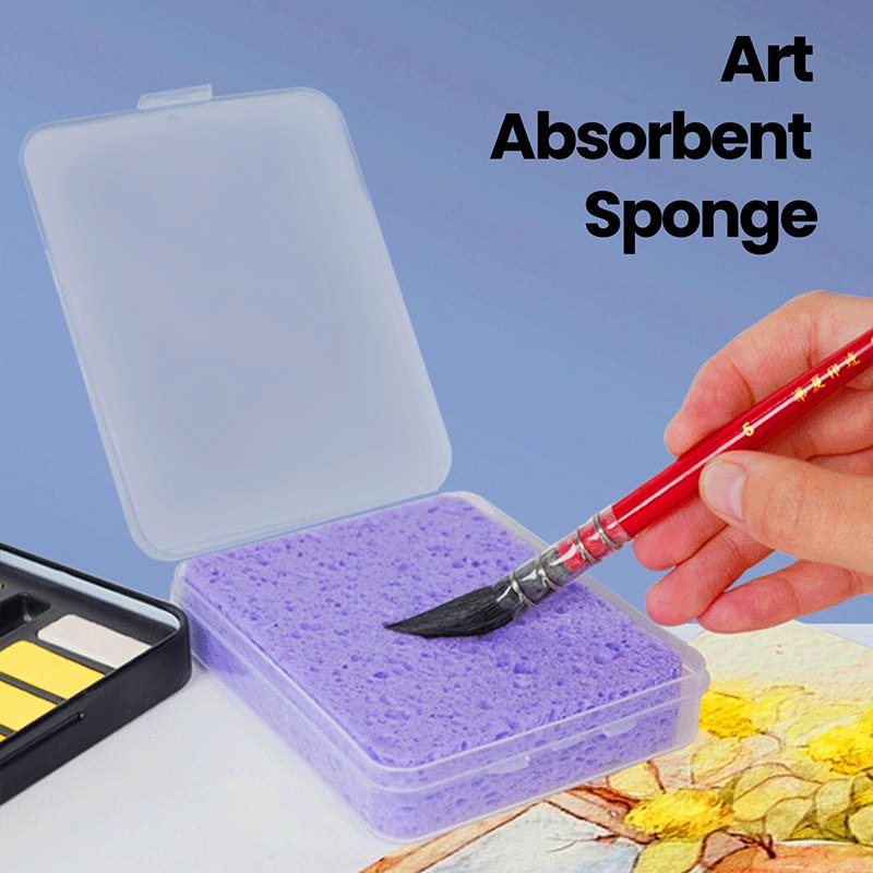 ฟองน้ำทำความสะอาดสีน้ำแบบบรรจุ - Eco Sponge บทวิจารณ์และราคา