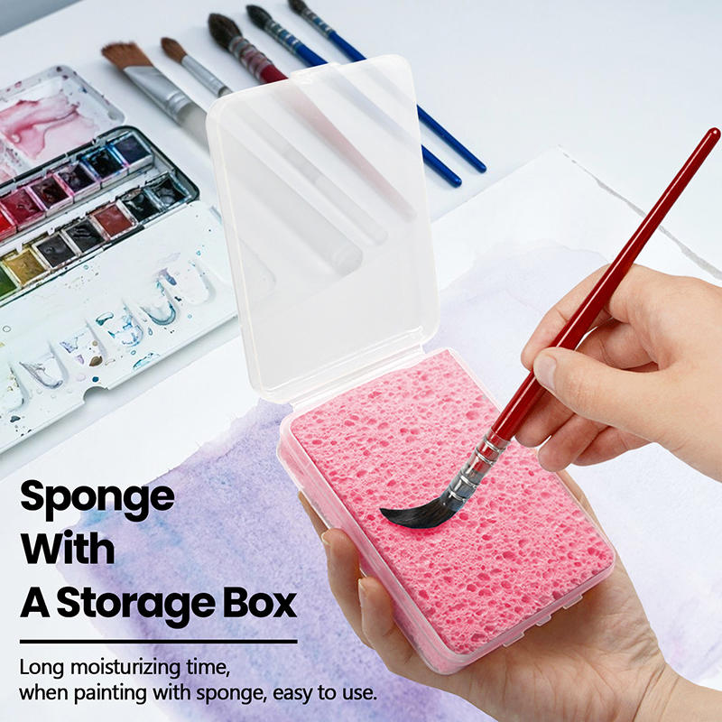 ฟองน้ำทำความสะอาดสีน้ำแบบบรรจุ - Eco Sponge บทวิจารณ์และราคา
