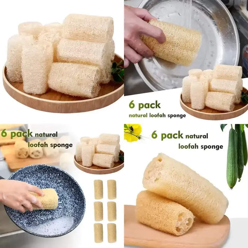 แปรงล้างจานใยบวบธรรมชาติรุ่นล่ - Eco Sponge บทวิจารณ์และราคา