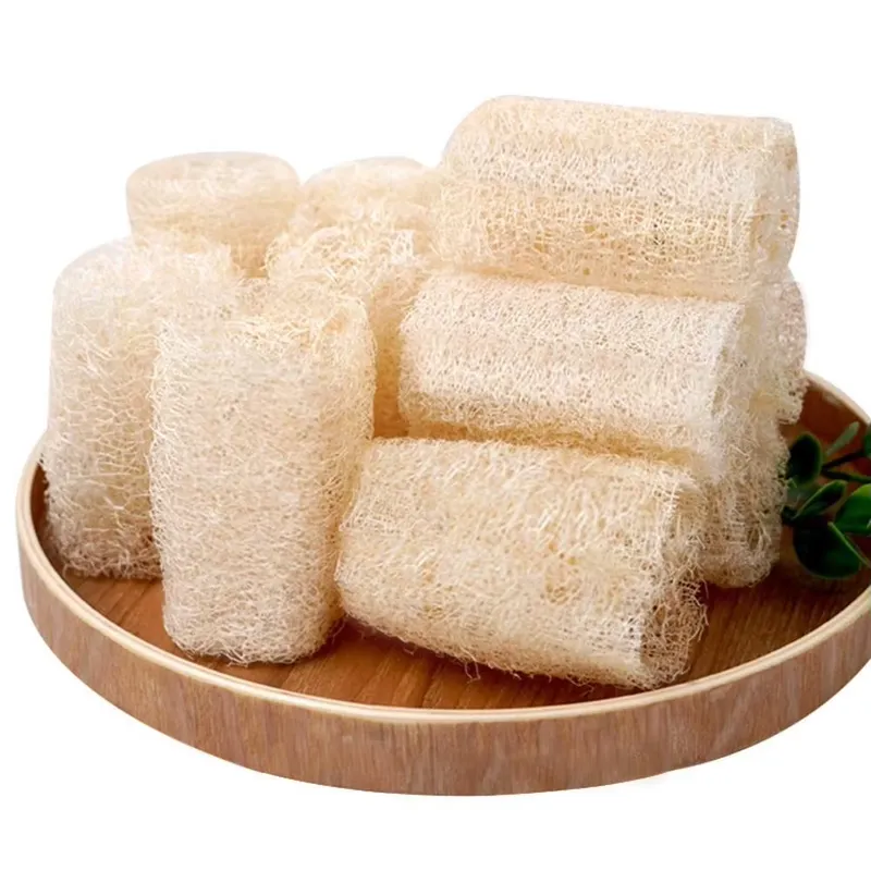 แปรงล้างจานใยบวบธรรมชาติรุ่นล่ - Eco Sponge บทวิจารณ์และราคา