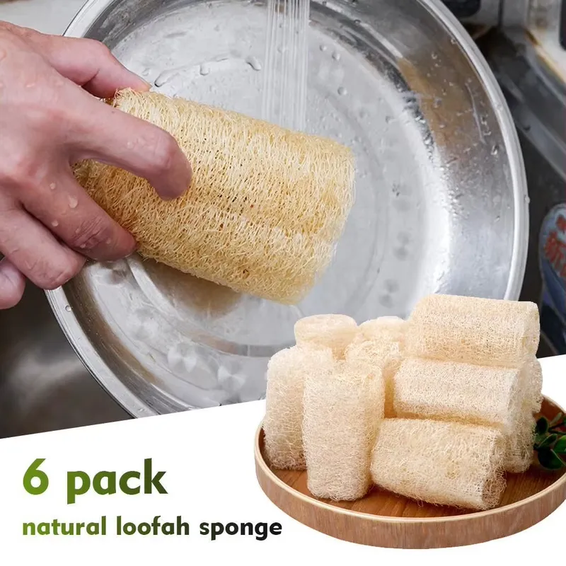 แปรงล้างจานใยบวบธรรมชาติรุ่นล่ - Eco Sponge บทวิจารณ์และราคา