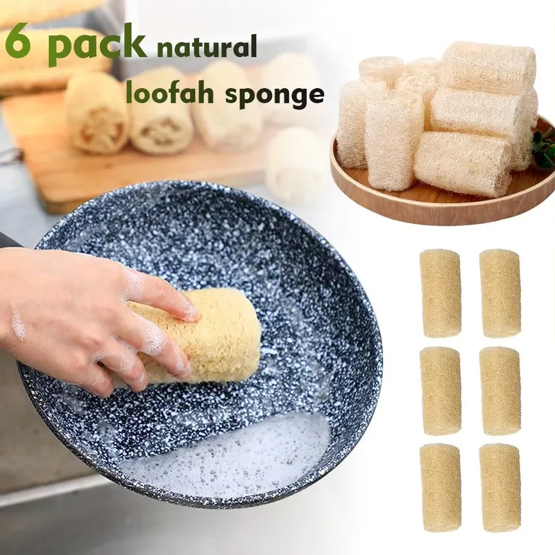 แปรงล้างจานใยบวบธรรมชาติรุ่นล่ - Eco Sponge บทวิจารณ์และราคา